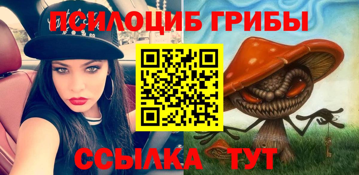Псилоцибиновые грибы мухоморы Екатеринбург