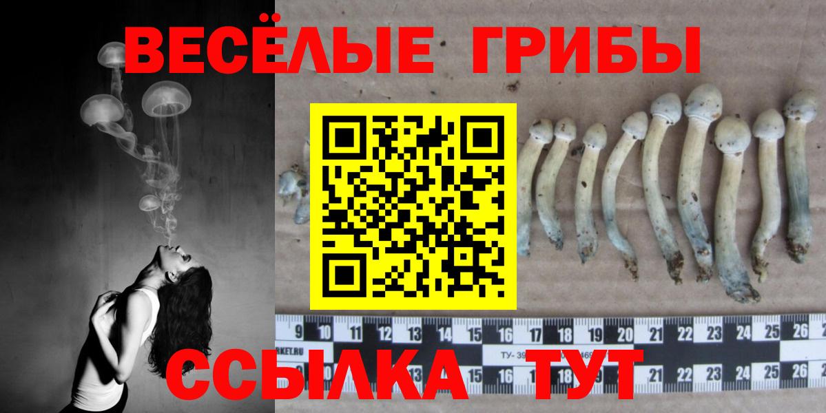 Екатеринбург  Псилоцибиновые грибы прущие грибы  Вход с VPN 